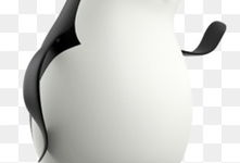 企鹅漫画图片,趣味横生的海洋生活剪影